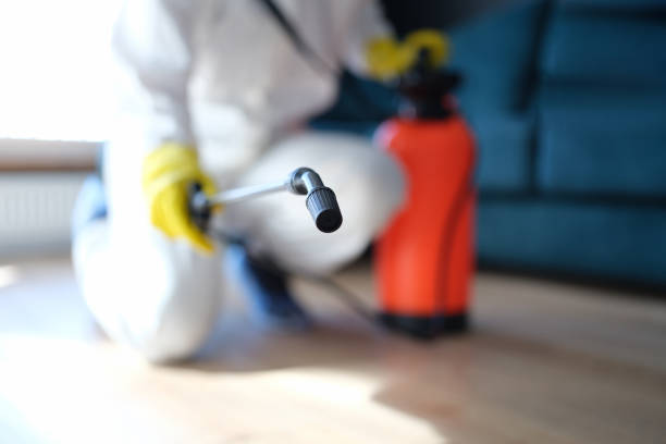 Mold Remediation for Rental Properties in Berry Hill, TN